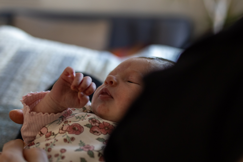 Newbornshooting Berlin Steglitz-Zehlendorf