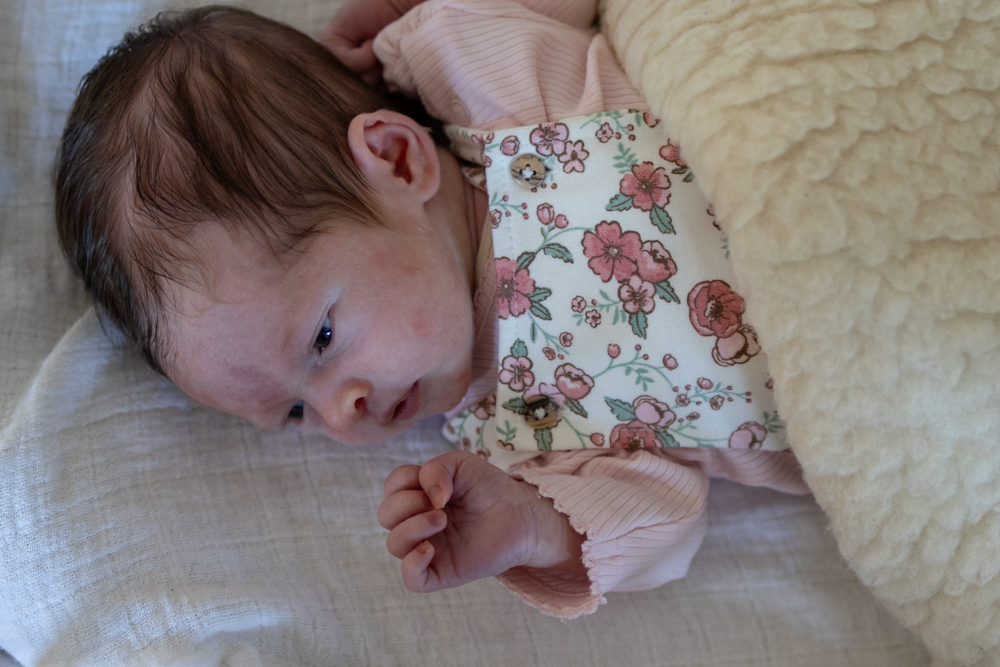 Babyshooting Berlin Steglitz-Zehlendorf