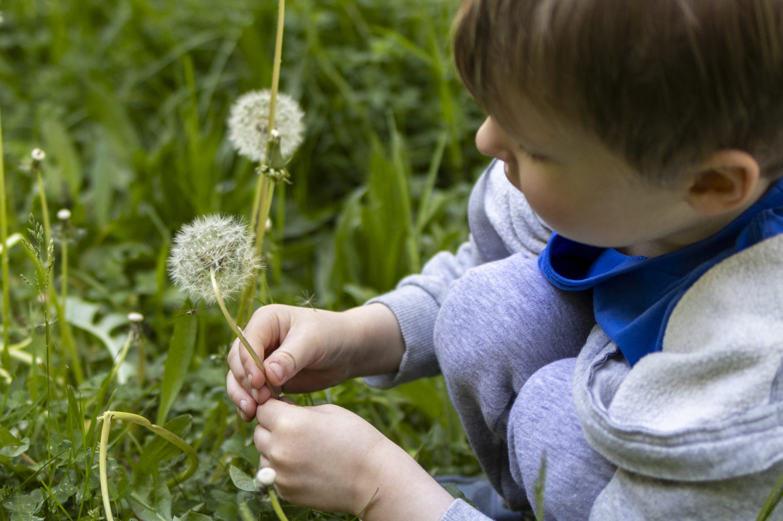 Dokumentarische Familienfotografie Berlin Steglitz-Zahlendorf