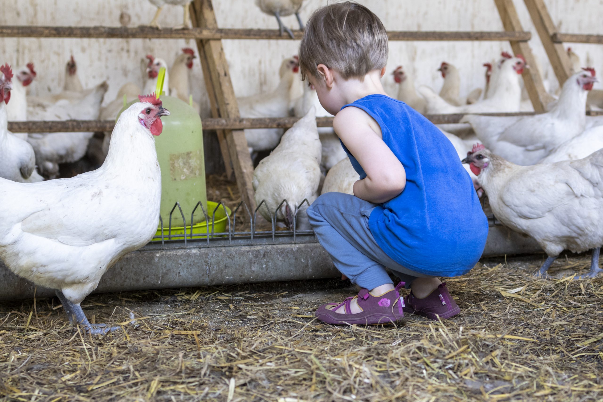 Dokumentarische Familienfotografie Berlin